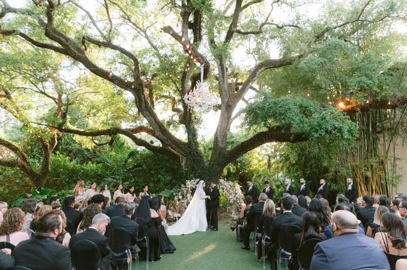 Wedding under a big tree